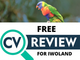 Free CV Review For Final Year Students and Corps Members From Iwoland