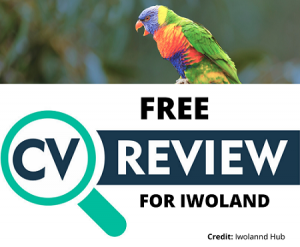 Free CV Review For Final Year Students and Corps Members From Iwoland