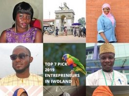 Top 7 Pick Entrepreneurs of the Year 2019 in Iwoland