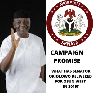Senator Oriolowo: What He Promised, What Has He Delivered in 2019?