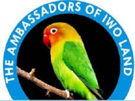 COVID-19: Ambassadors of Iwoland Distributes Foodstuff Relief Package to Widows