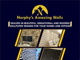 Norphy's Amazing Walls: Introducing Modern Interior Walls Decorations For Homes and Offices