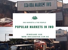 Business Insight: Popular Markets in Iwo and The People