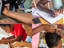 Apprenticeship and Schooling in Adolescents of Iwoland