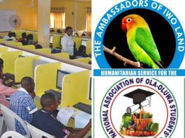 Scholarship: The Ambassadors of Iwoland Partners with NAOS Ola-Oluwa to give Free JAMB Forms to Students