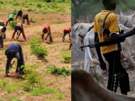 Yoruba-Herders Saga: What Does Oluwo Want? | By Oba Adewale Akanbi