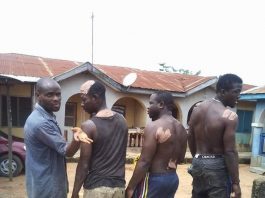 Bread Bakers in Iwo Attack Associates with Cutlass for Not Hiking Bread Price