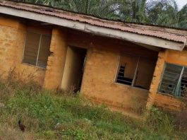 Is Ola-Oluwa Local Government Enjoying the Dividend of Democracy? | By Olatidoye Idowu