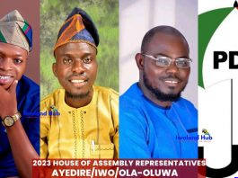 PDP Sweeps House of Assembly Seats, Wins Ayedire/Iwo/Ola-Oluwa