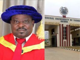 An Ile-Ogbo Indigene, Dr. Akomolafe Abayomi Ayodele, Pronounced as a Professor at FUTA