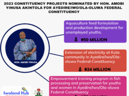 Good Governance for Iwo Federal Constituency is Essential