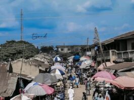 An Urgent Appeal to Thoroughly Investigate the Current Exploitation in Our Markets in Iwoland | By Wilfred Akinwale Okewole