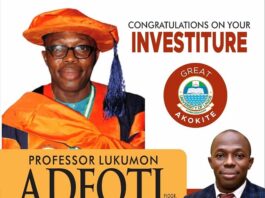 Celebrating Professor Lukumon Adeoti as a Fellow, National Association for Engineering Geology and Environment